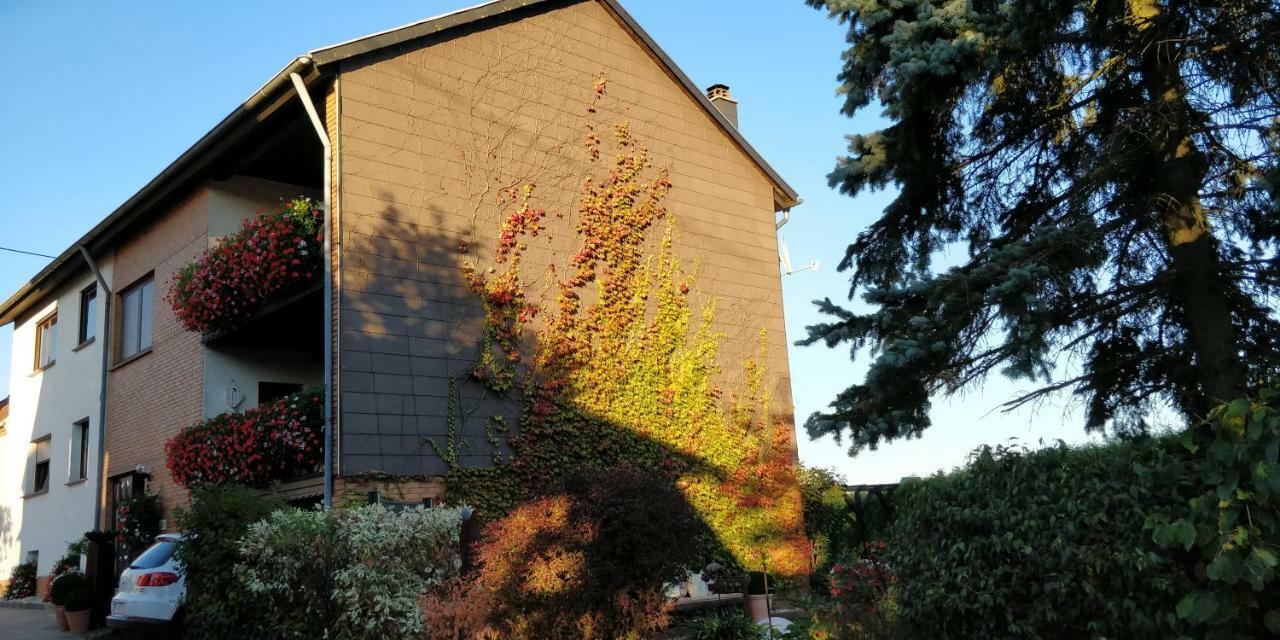 Ursula'S Ferienwohnung Marpingen Kültér fotó